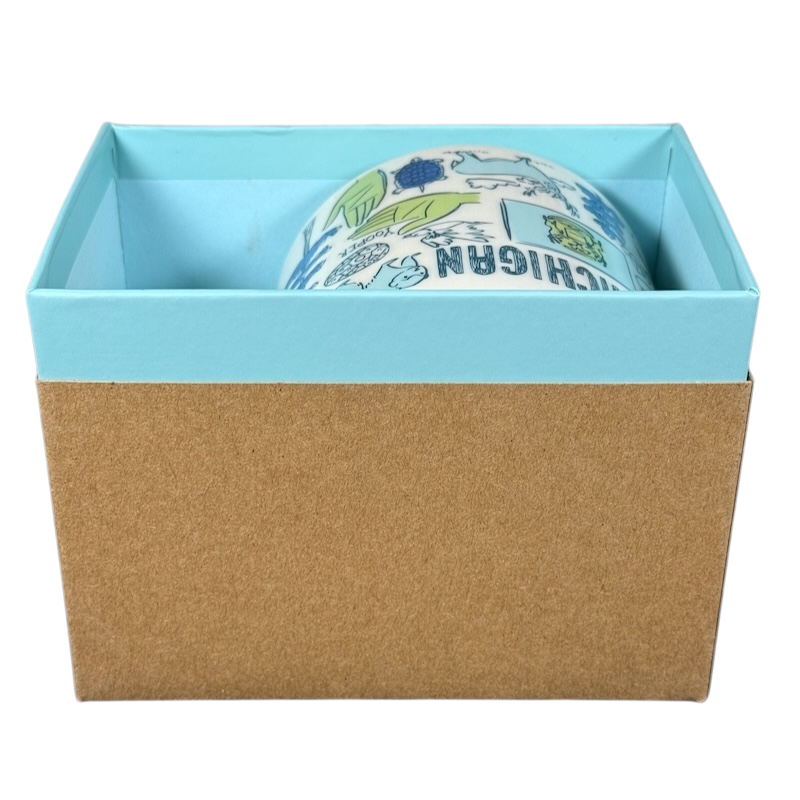 Starbucks Michigan Been There mug with state-themed illustrations partially visible in blue and brown gift box