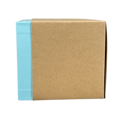 Starbucks Vermont mug Been There Series in a blue and brown cardboard packaging box