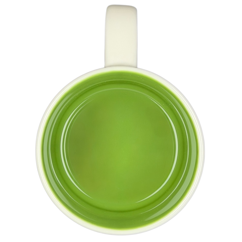 You Are Here Collection Disneyland Adventureland Mug Starbucks showing green interior and classic design
