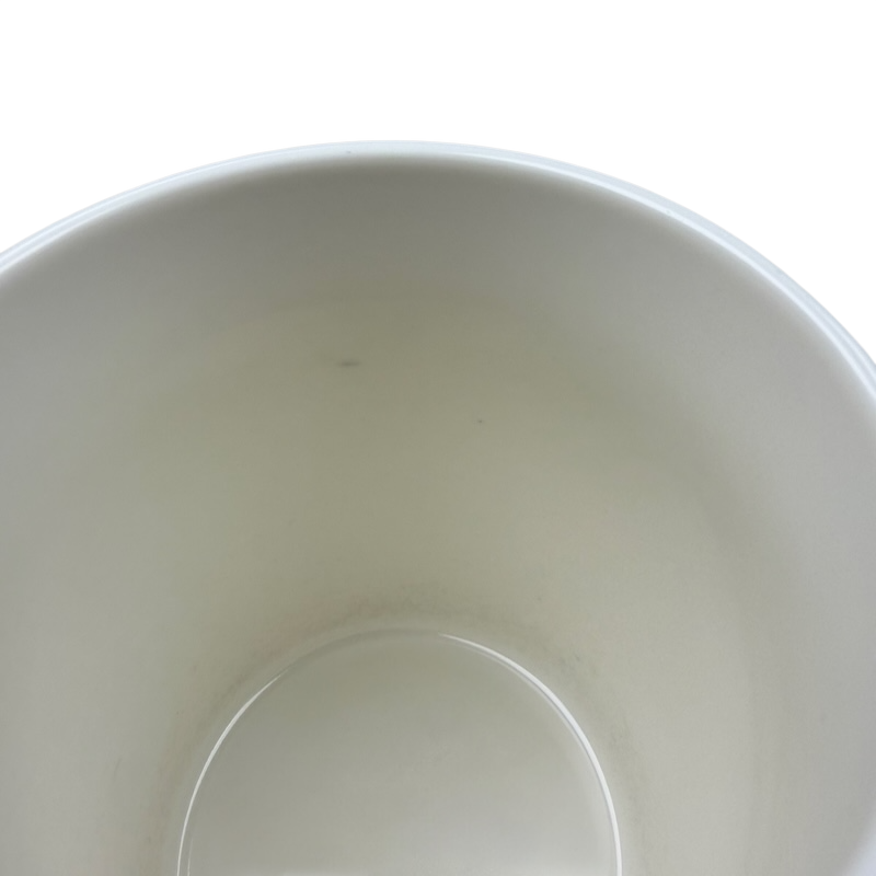 Inside view of the Aries Astrology Zodiac Mug Threshold showcasing the smooth ceramic finish