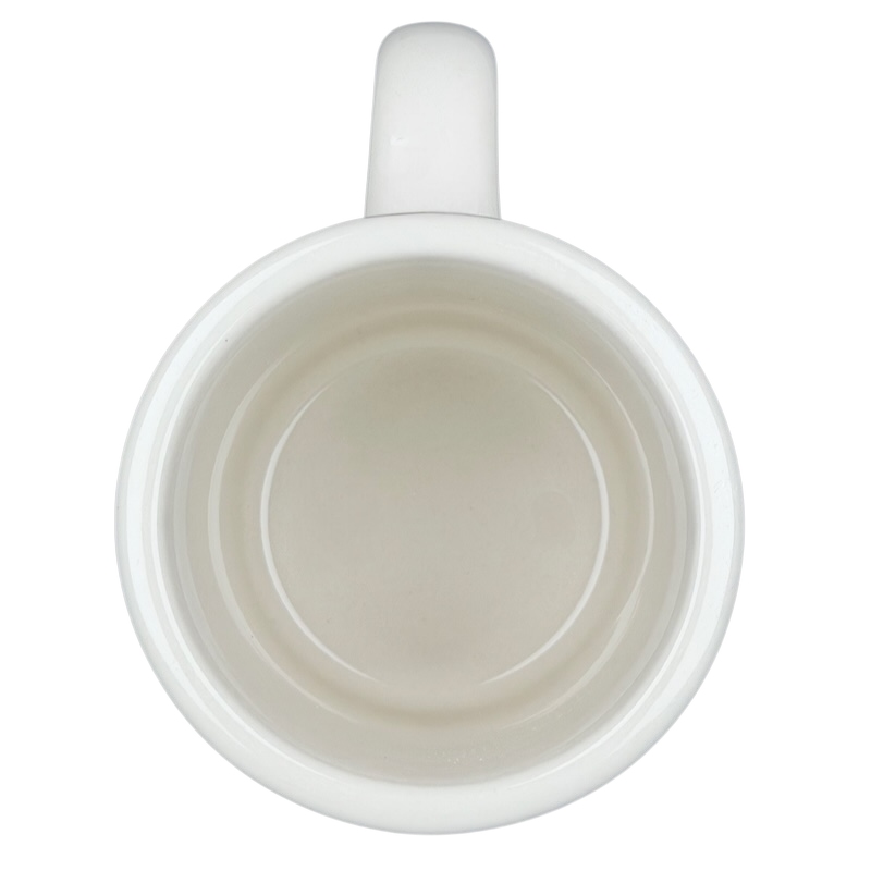 Vintage Bad Dog Wisdom Defy Authority mug showing an empty interior design