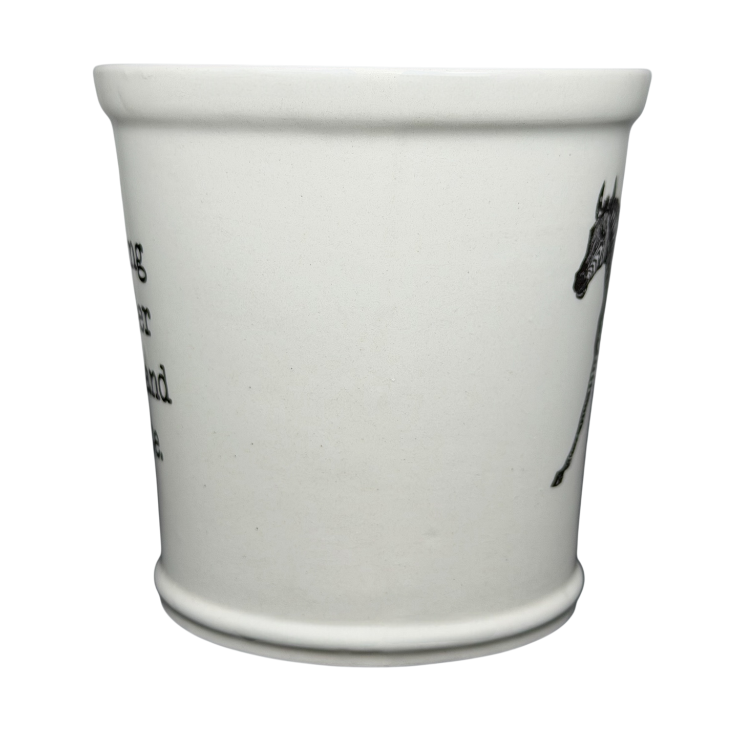 White Zebra Mug from World Market, collectible item featuring a decorative zebra design