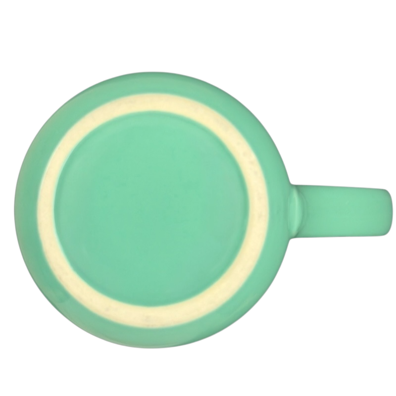 MICO Yellowstone National Park Moose Mug in Mint Green with Unique Bottom Pattern