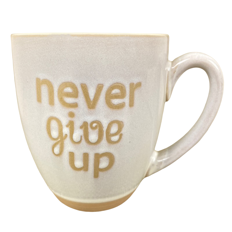 Never Give Up Etched Mug Spectrum Designz