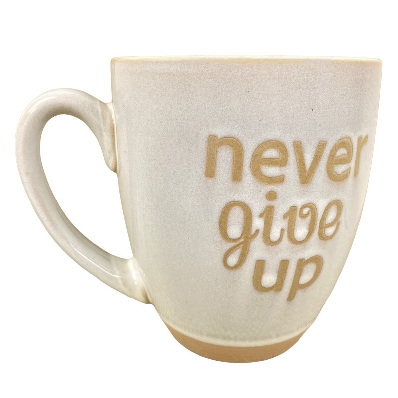 Never Give Up Etched Mug Spectrum Designz