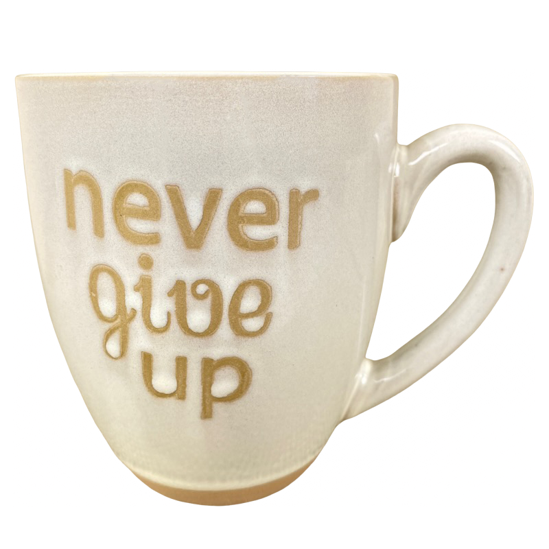 Never Give Up Etched Mug Spectrum Designz