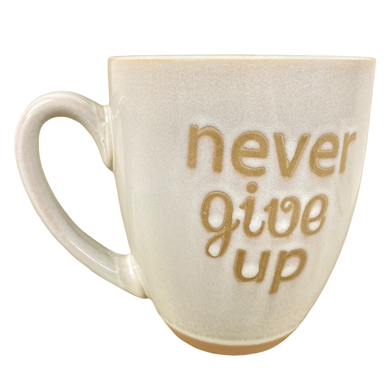 Never Give Up Etched Mug Spectrum Designz