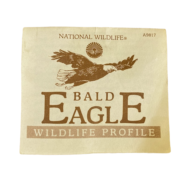 Bald Eagle Greg Name Etched Mug National Wildlife Federation