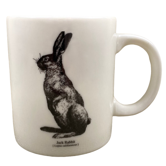 Jack Rabbit Lepus Californicus Mug H&M