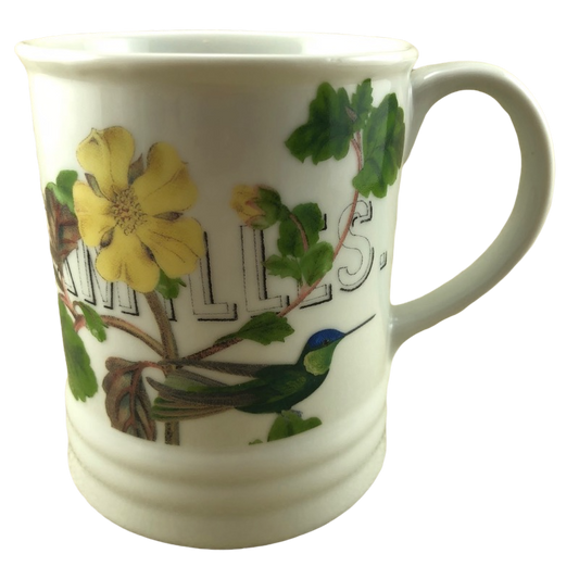 Musee De Familles Paris Mug Fringe