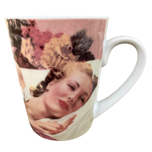 Anne Taintor I Dreamed My Whole House Was Clean Mug PPD