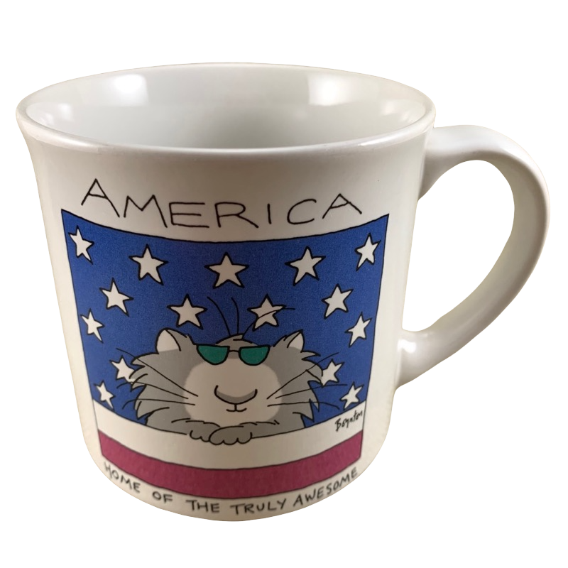America Home Of The Truly Awesome Sandra Boynton Mug Recycled Paper Products