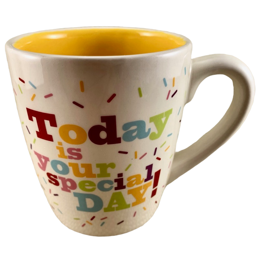 Today is Your Special Day Mug Hallmark NEW