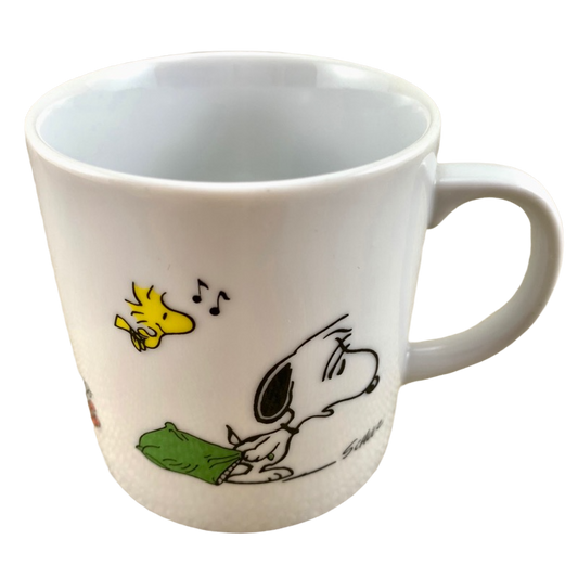 Peanuts Snoopy & Woodstock I Think I'm Allergic To Mornings Knott's Berry Farm Mug Peanuts Worldwide