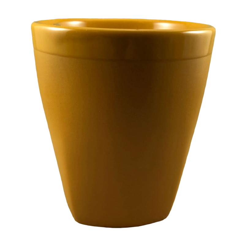 Peet's Coffee & Tea Orange Mug BIA