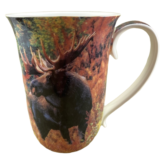 Moose Mug Hayward And Warwick