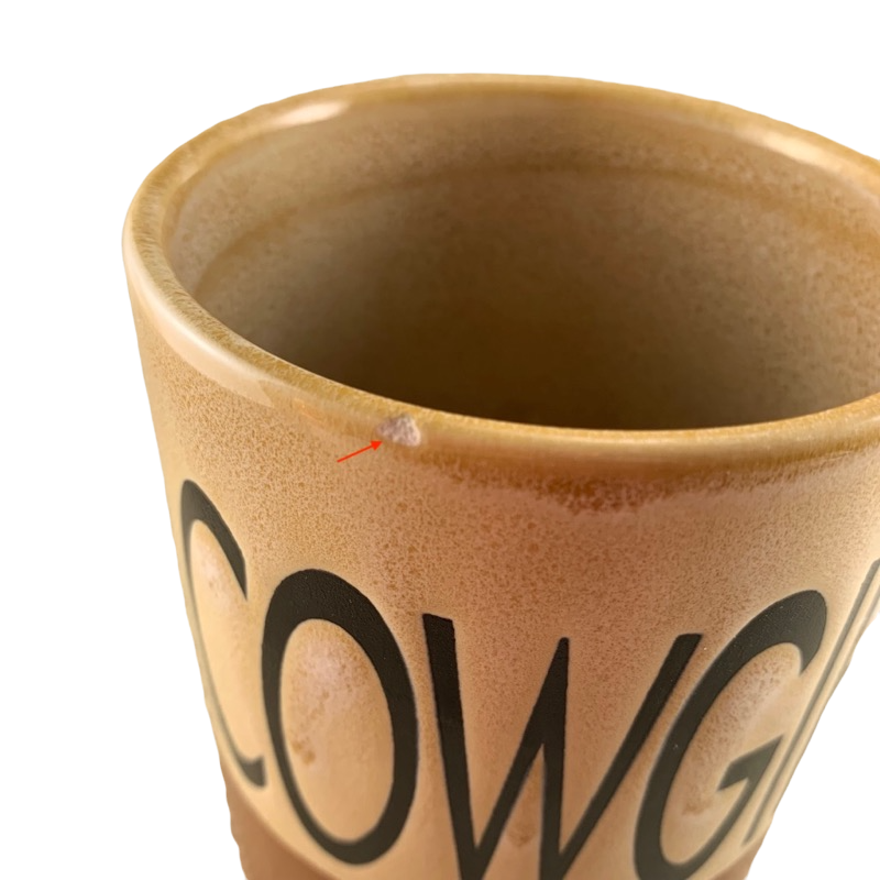 Cowgirl Buckaroo Stoneware Mug Cowboy Living